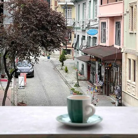 公寓 Newly Furnished Flat @sultanahmet @hagiasophia *