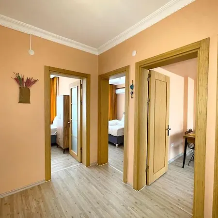 公寓 Newly Furnished Flat @sultanahmet @hagiasophia