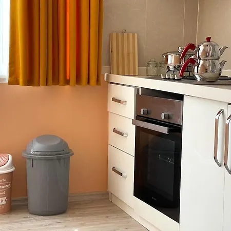 Newly Furnished Flat @sultanahmet @hagiasophia 公寓