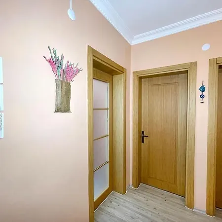 公寓 Newly Furnished Flat @sultanahmet @hagiasophia