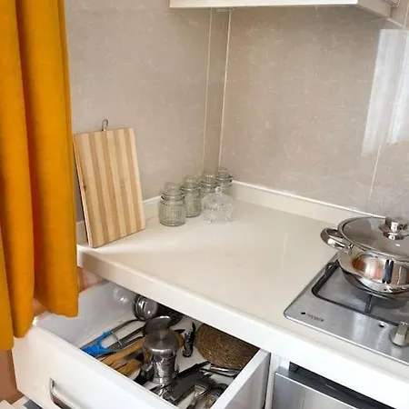 Newly Furnished Flat @sultanahmet @hagiasophia 公寓