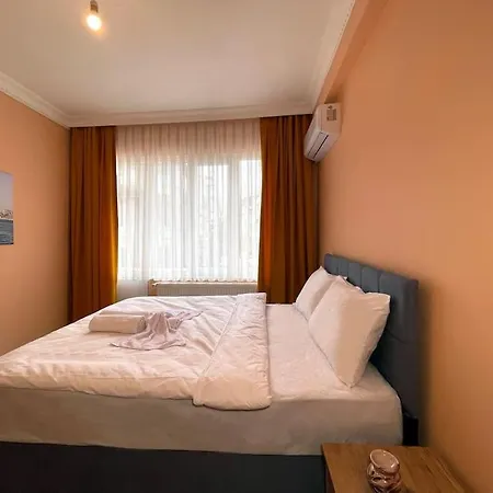 Lejlighed Newly Furnished Flat @sultanahmet @hagiasophia