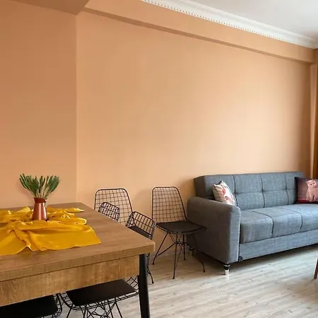 Newly Furnished Flat @sultanahmet @hagiasophia *