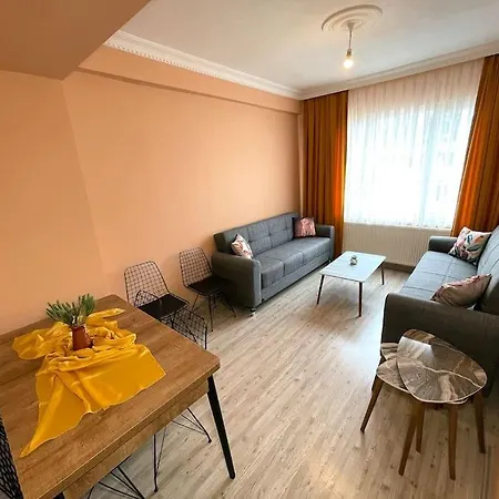 Newly Furnished Flat @sultanahmet @hagiasophia Estambul