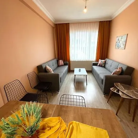 Newly Furnished Flat @sultanahmet @hagiasophia * Estambul